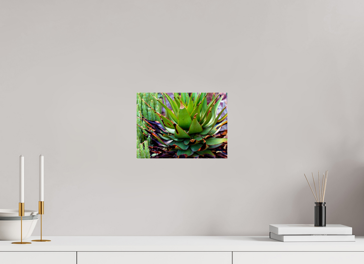 11 x 8″, Photo Print Under Acrylic Glass Cacti VI.2