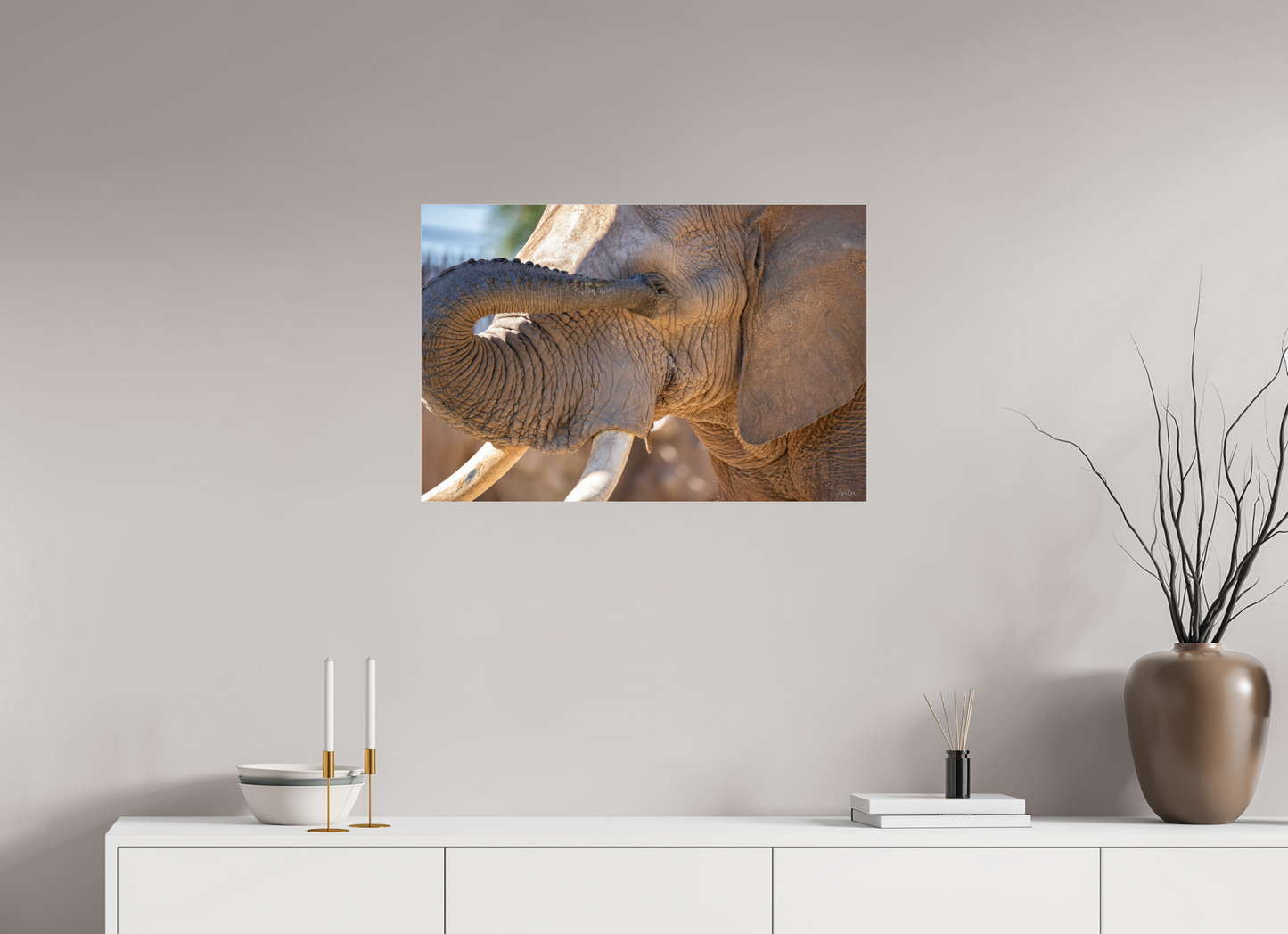 30 x 20″, Photo Print Under Acrylic Glass Bashful Ellie The Elephant