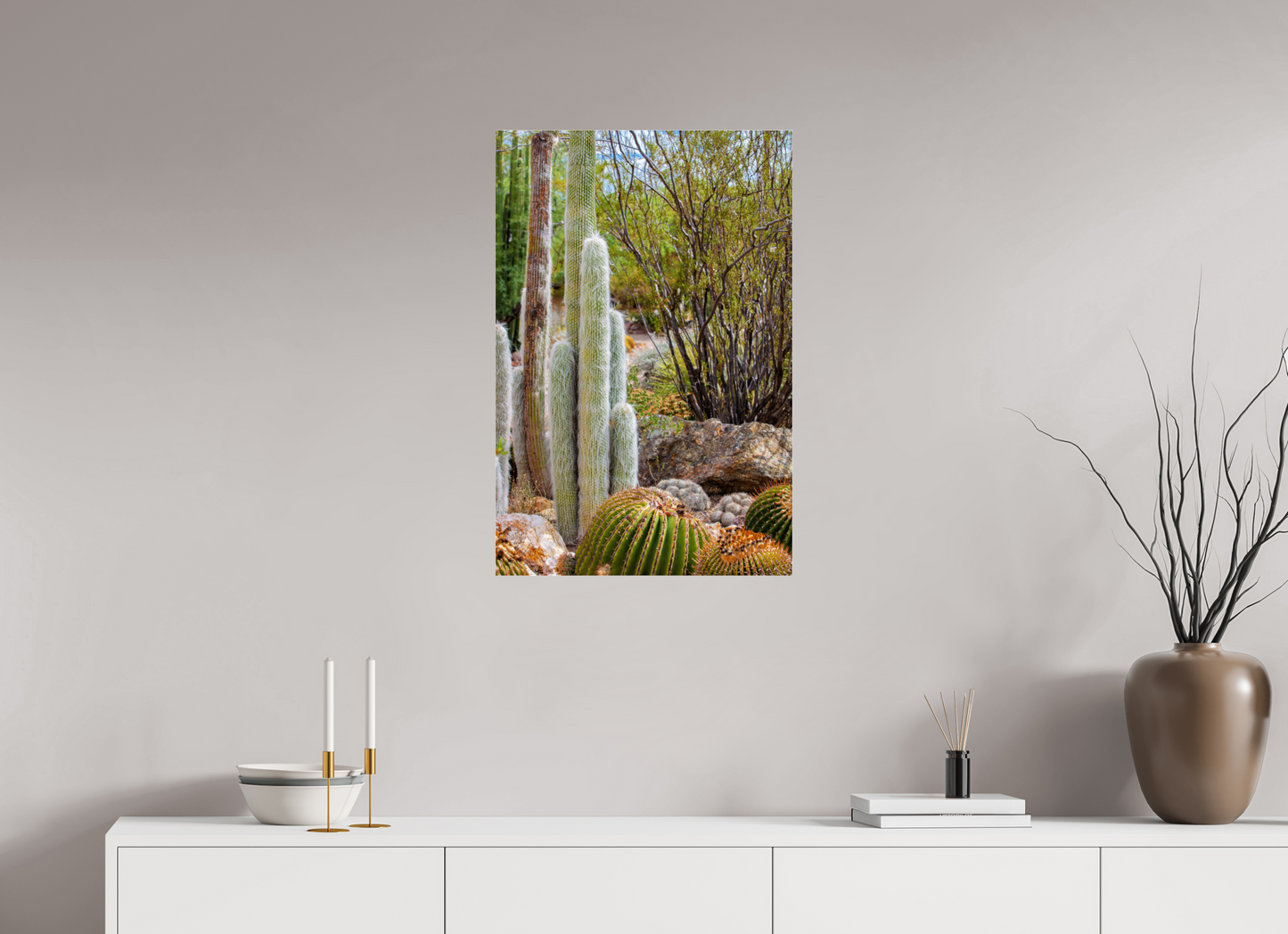 20 x 30″, Photo Print Under Acrylic Glass Cacti III