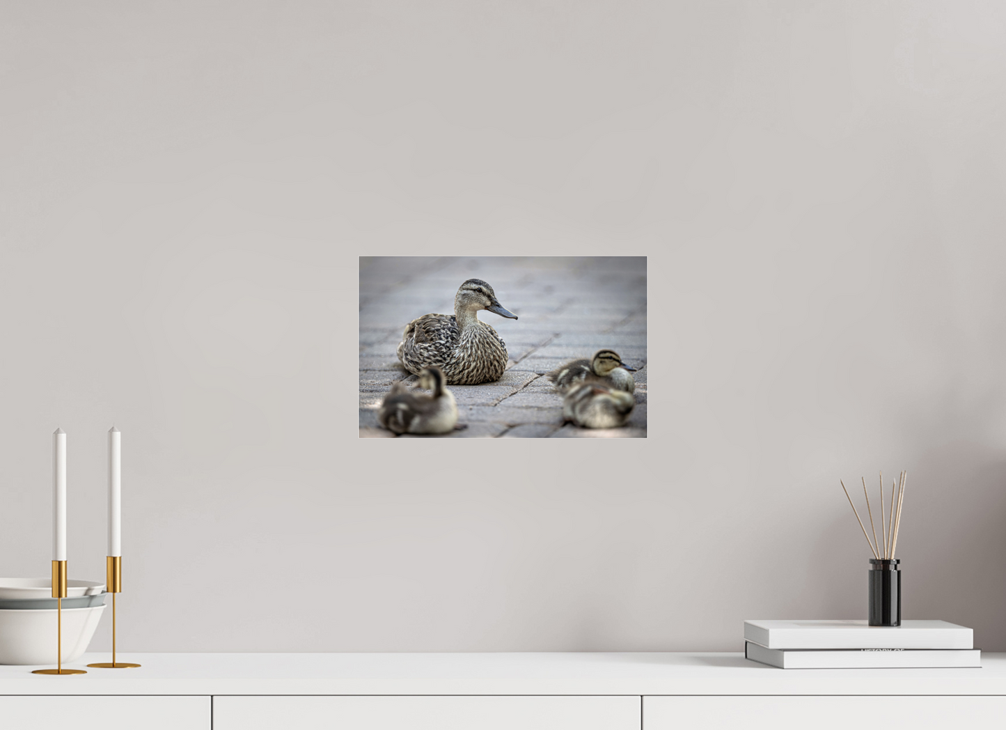 12.7 x 8″, Photo Print Under Acrylic Glass Mother and Ducklings