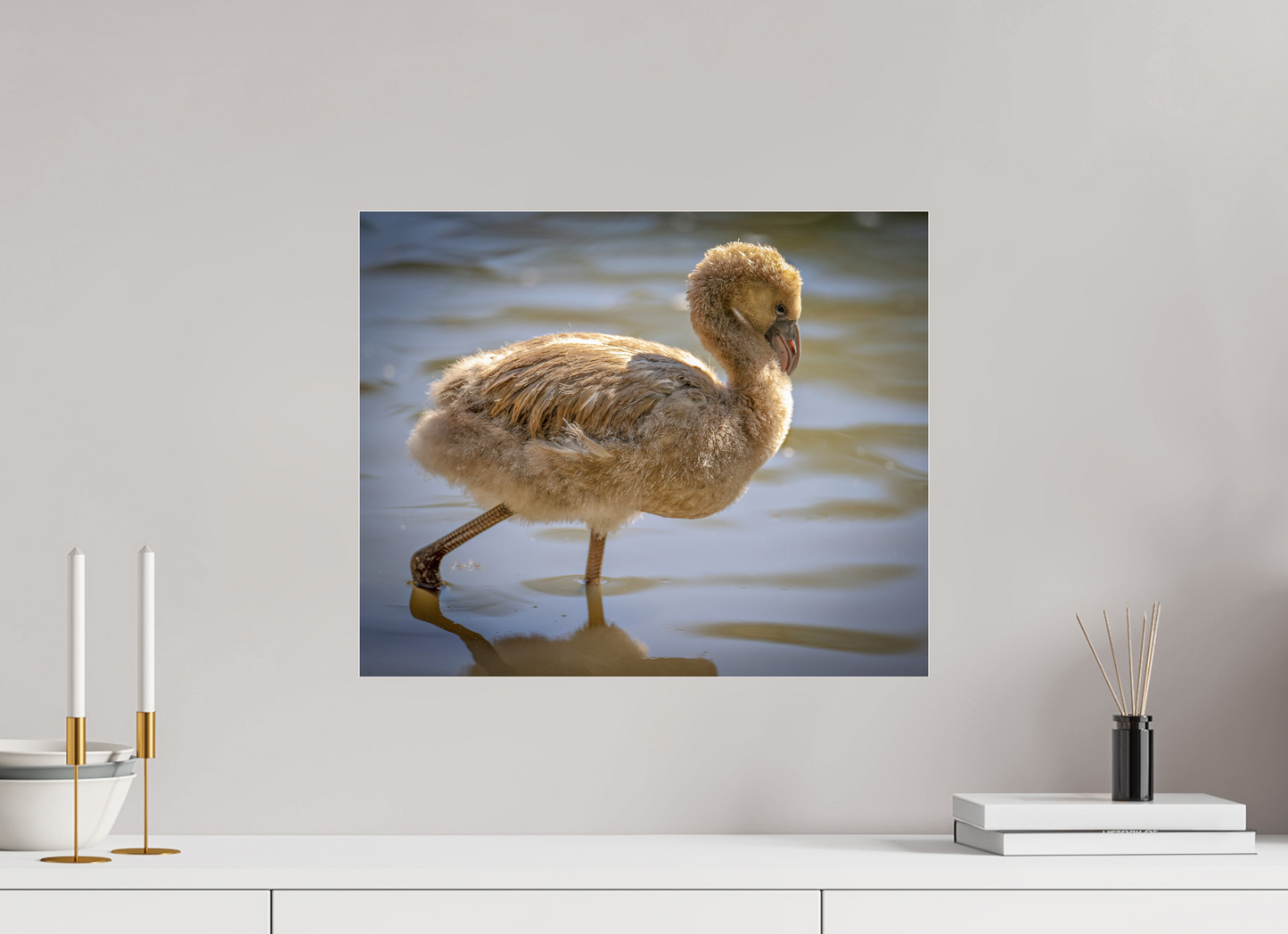 19.5 x 16″, Photo Print Under Acrylic Glass Baby Flamingo