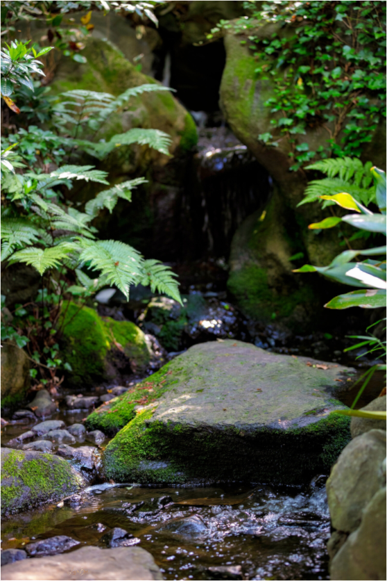 Main image Gardens of Tokyo IV