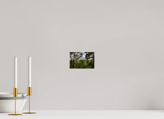 6 x 4″, Photo Print Under Acrylic Glass Hillside View from SpainCastle Gardens