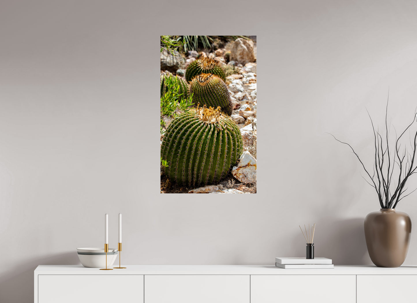 20 x 32.8″, Photo Print Under Acrylic Glass Cacti