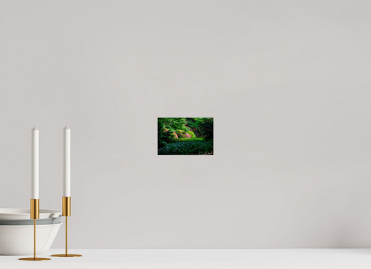 6 x 4″, Photo Print Under Acrylic Glass Gardens of Tokyo II