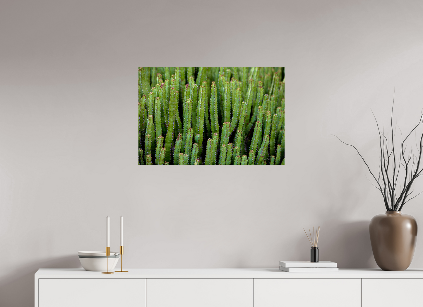 30 x 20″, Photo Print Under Acrylic Glass Cacti V