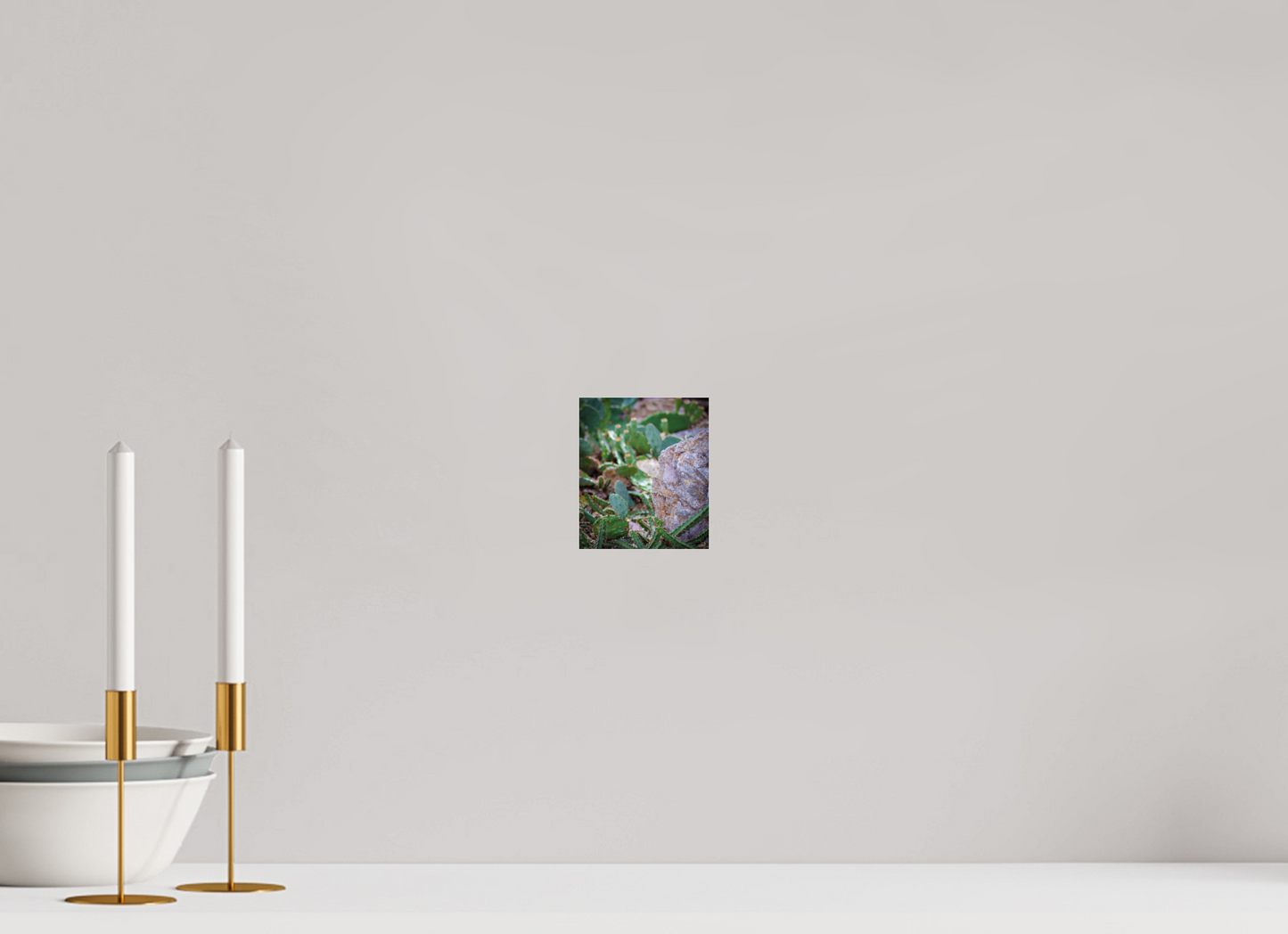 4 x 4.7″, Photo Print Under Acrylic Glass Cacti IV