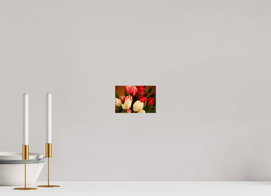6 x 4″, Photo Print Under Acrylic Glass Tulips
