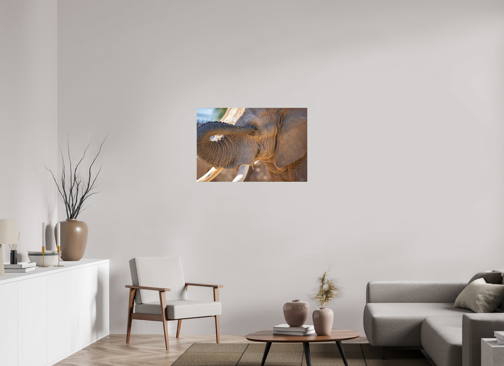 36 x 24″, Photo Print Under Acrylic Glass Bashful Ellie The Elephant