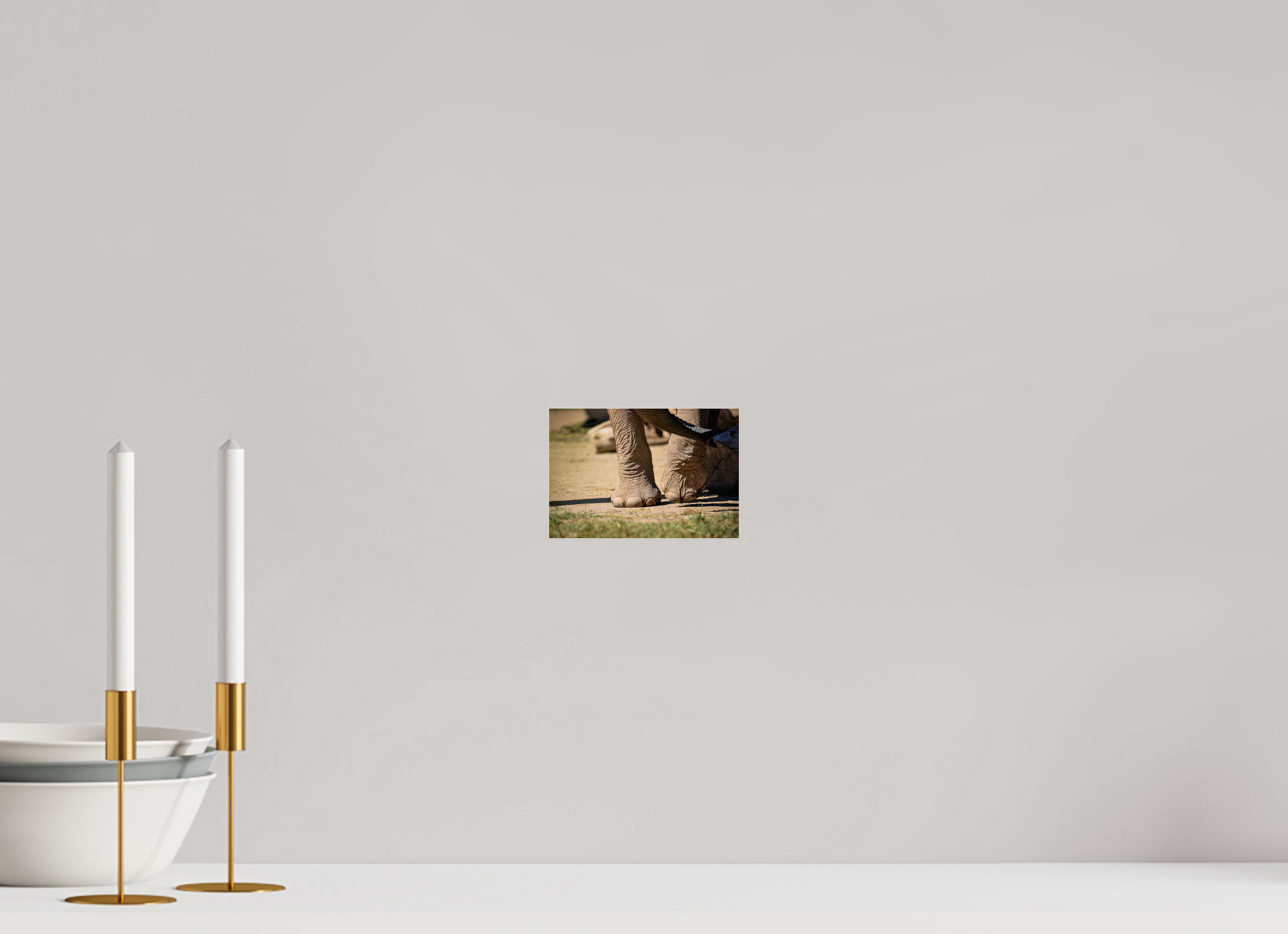 5.9 x 4″, Photo Print Under Acrylic Glass Ellie Struts