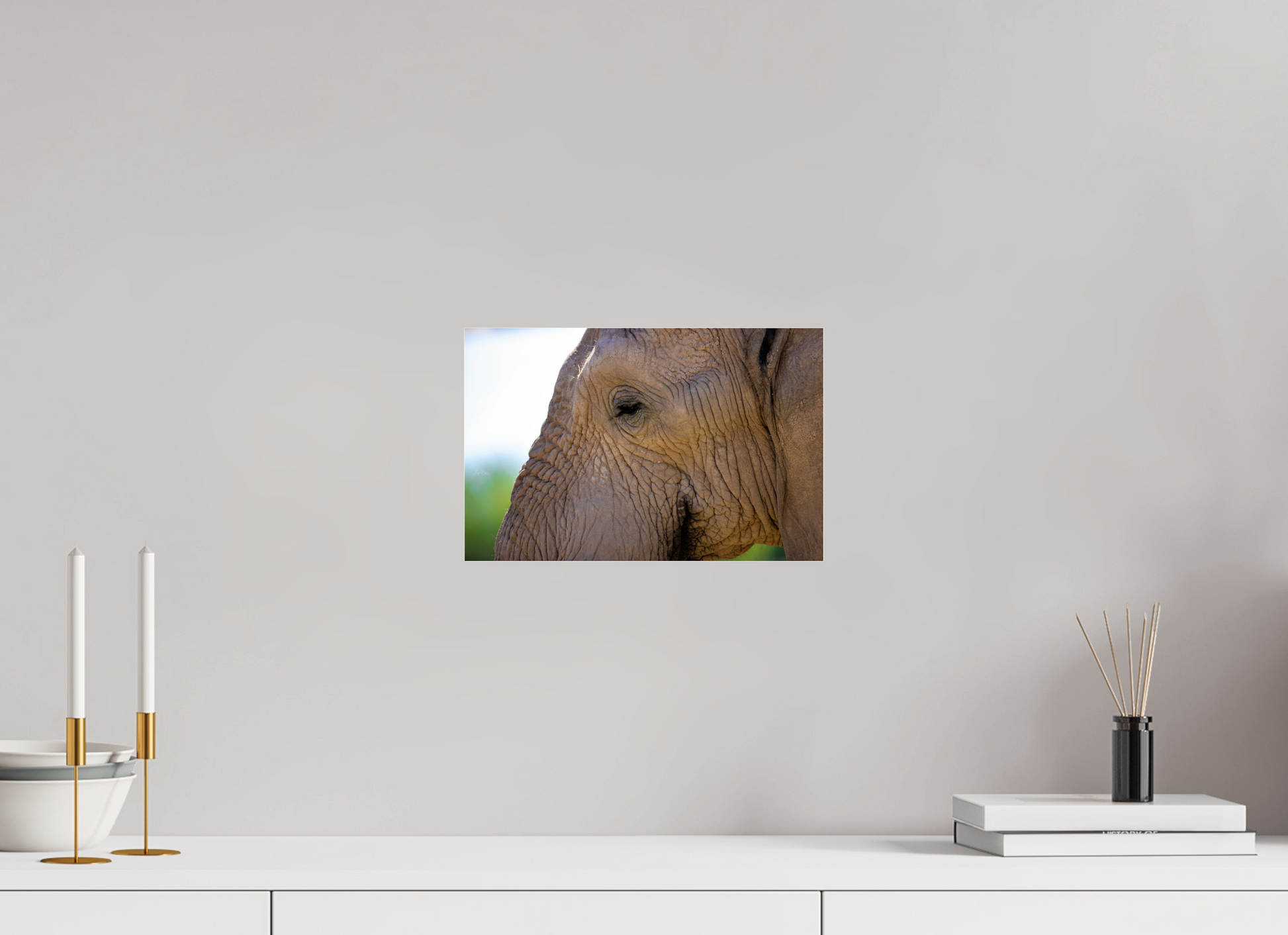 12.3 x 8″, Photo Print Under Acrylic Glass Ellie In Deep Thought