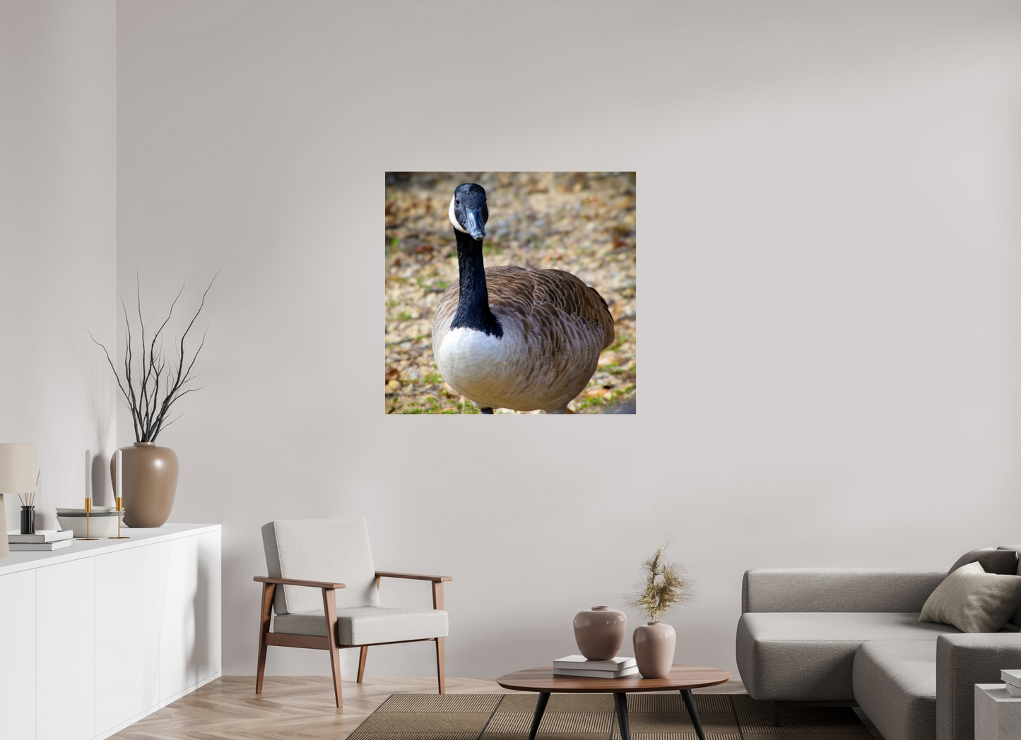 40.3 x 39″, Photo Print Under Acrylic Glass Lake Rim Goose