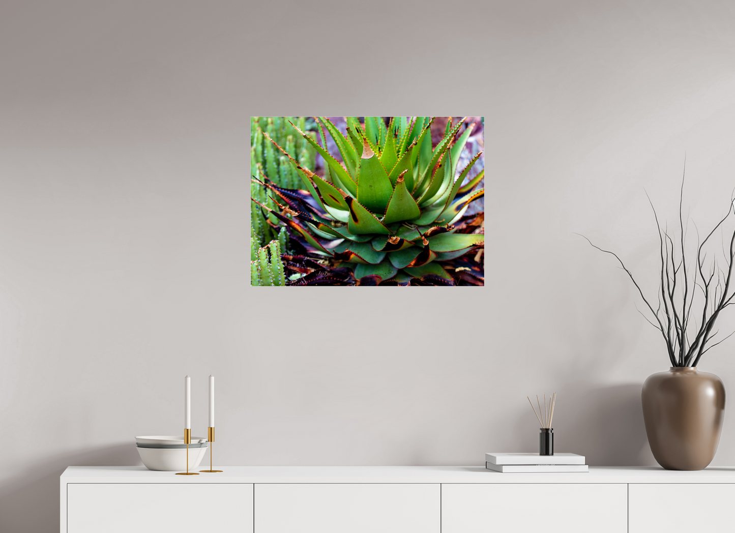 27.6 x 20″, Photo Print Under Acrylic Glass Cacti VI.2