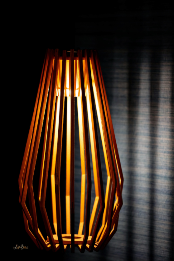 Main image Light The Dark