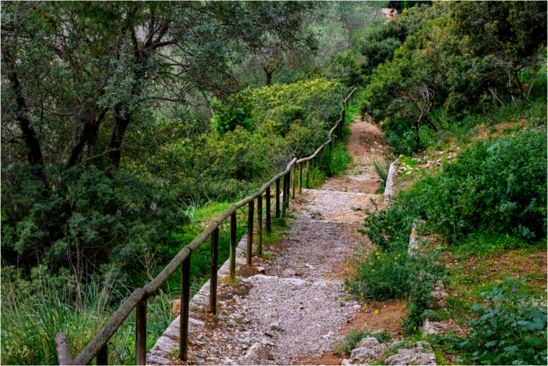 Main image Hillside View from Spain Castle Gardens III