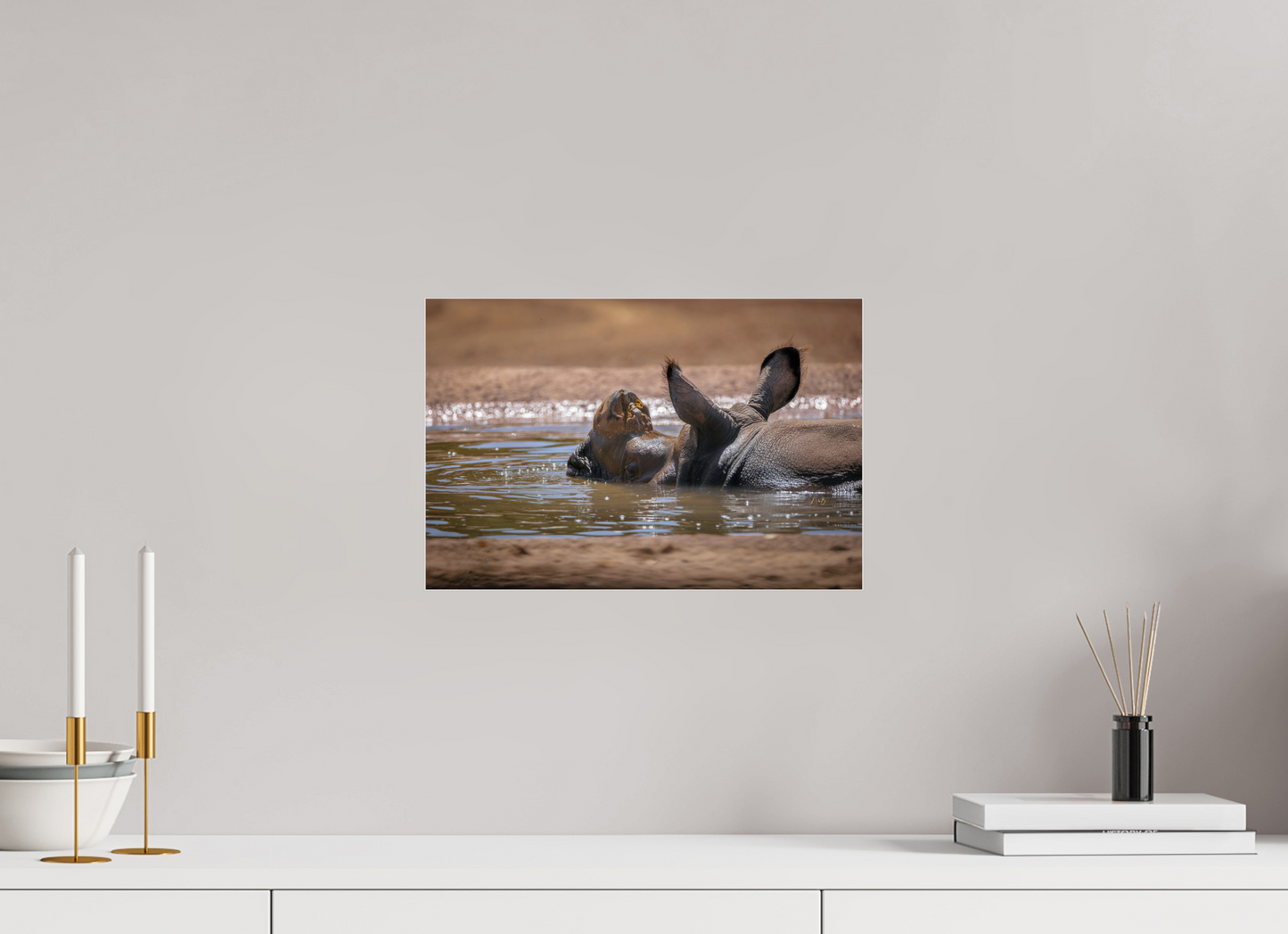 15 x 10″, Photo Print Under Acrylic Glass Rhino Relaxing