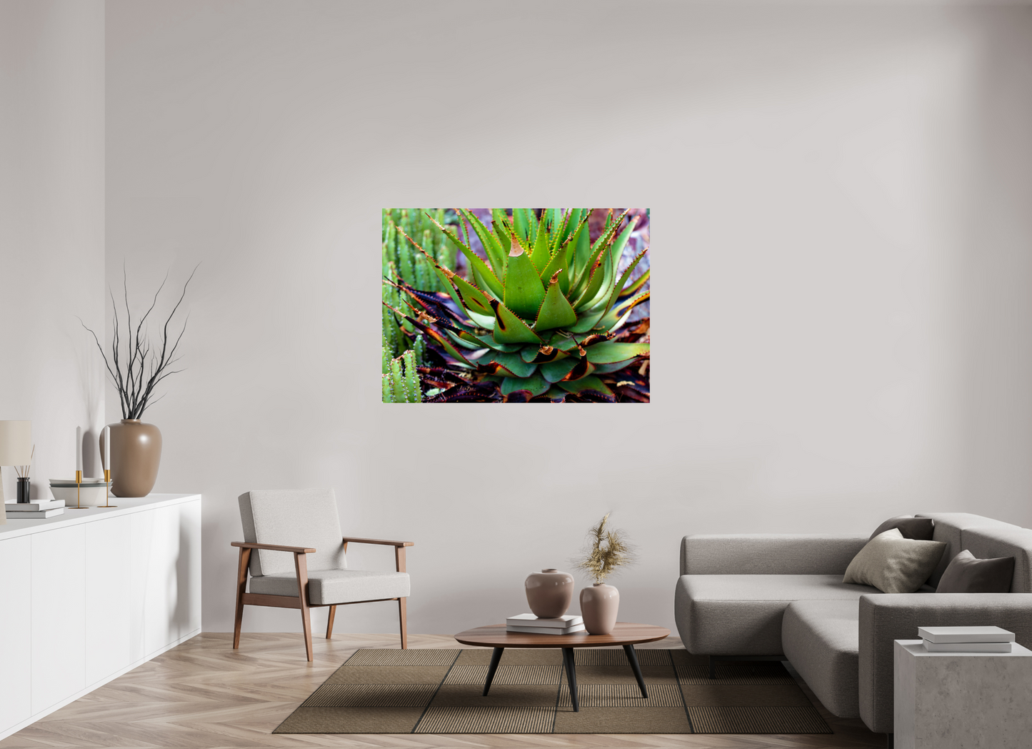 53.7 x 39″, Photo Print Under Acrylic Glass Cacti VI.2