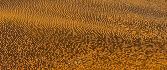 Main image Sand Dunes Bahrain