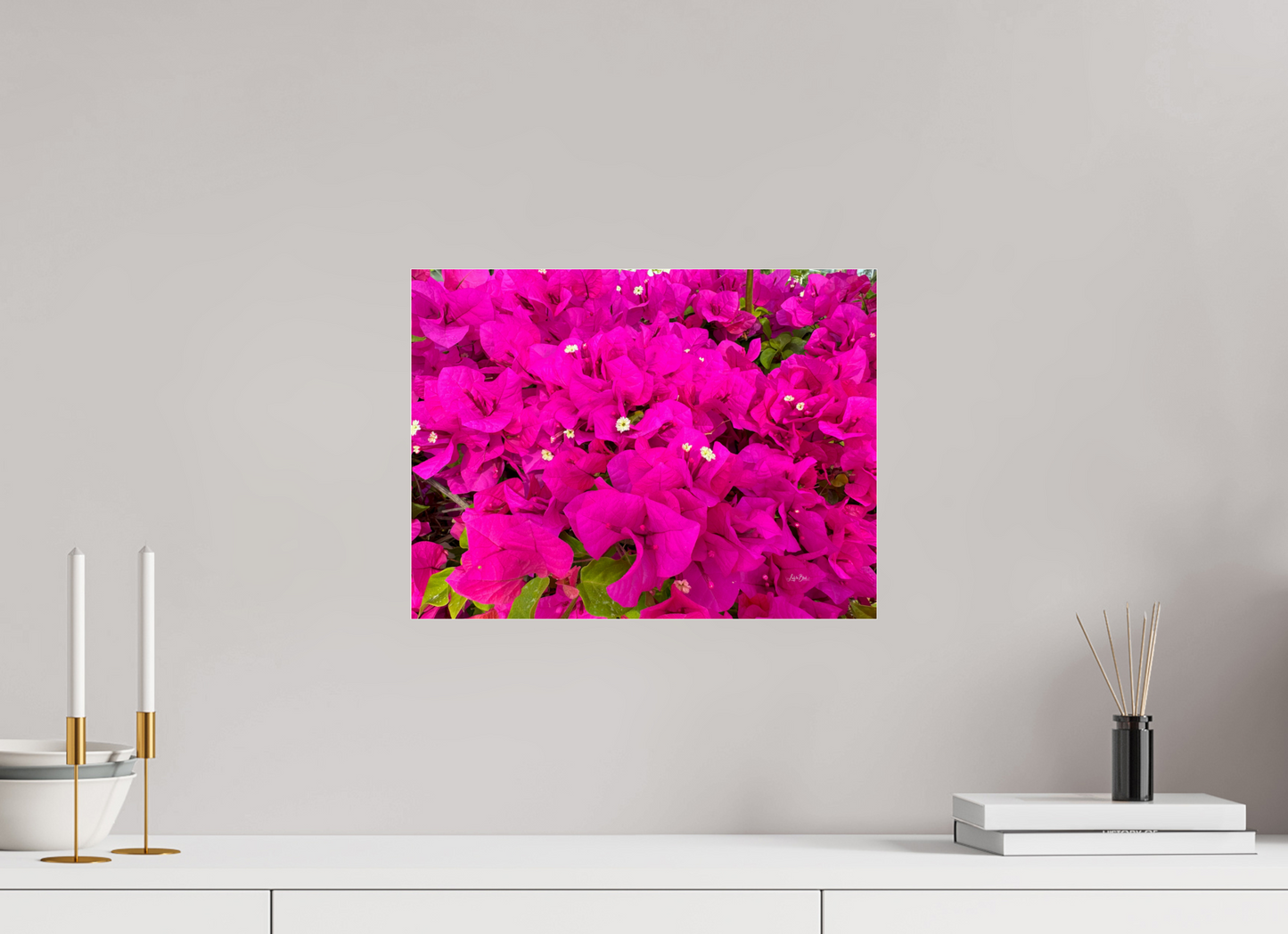 16 x 12″, Photo Print Under Acrylic Glass Gardens III