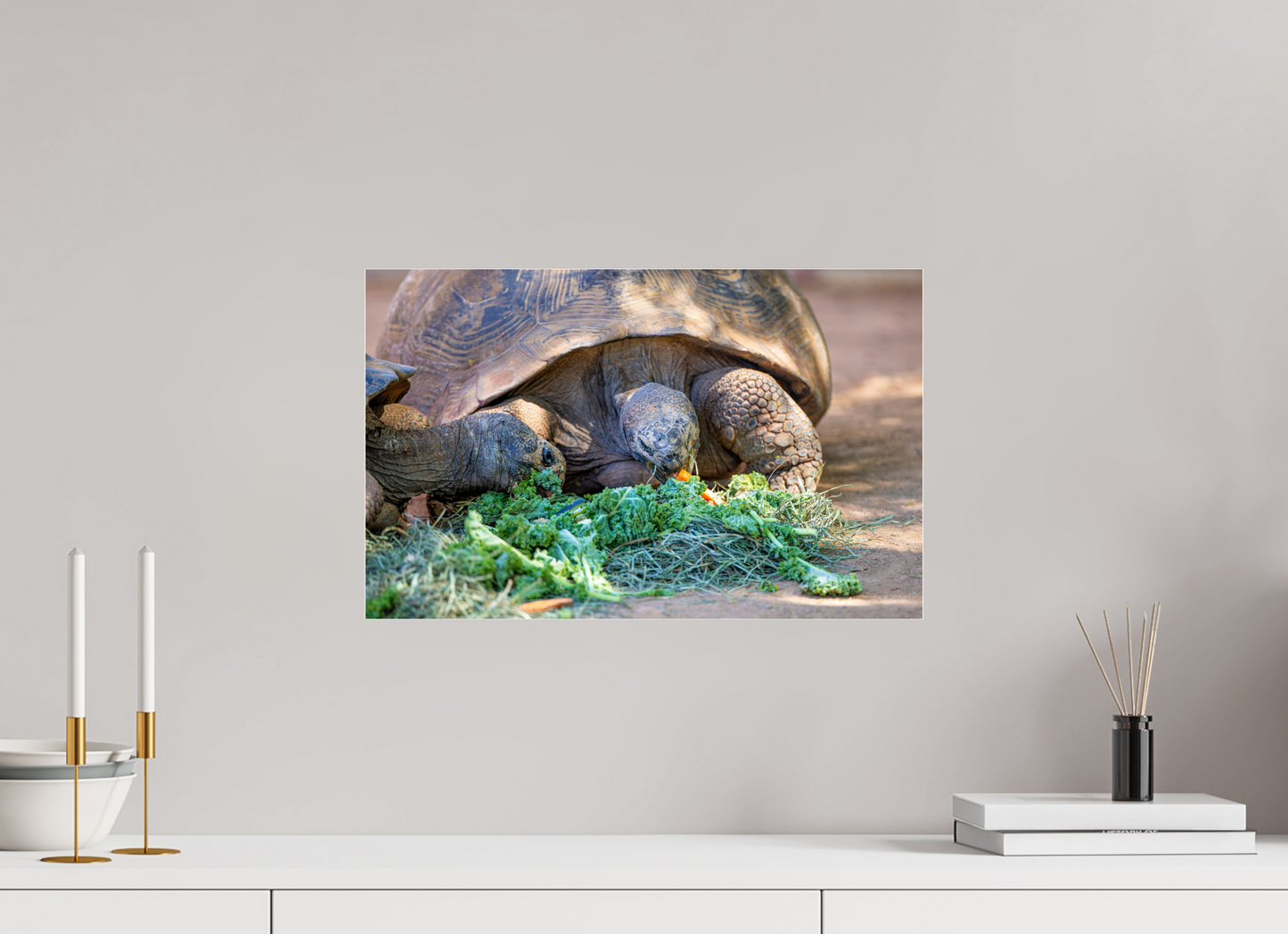 19.1 x 12″, Photo Print Under Acrylic Glass Eat Your Vegetables