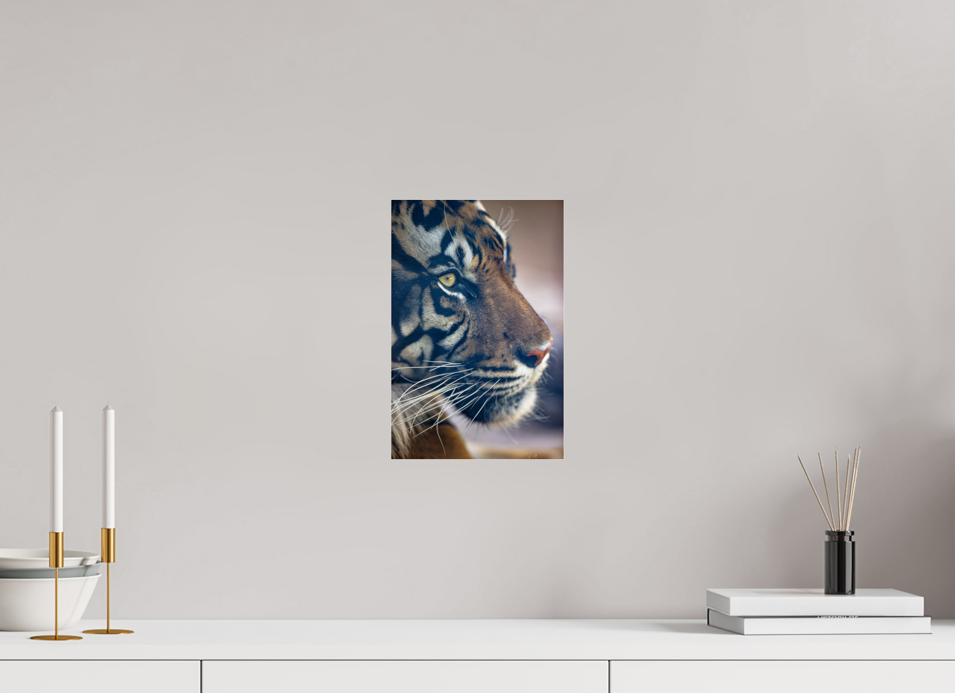 8 x 12″, Photo Print Under Acrylic Glass No Introduction Needed