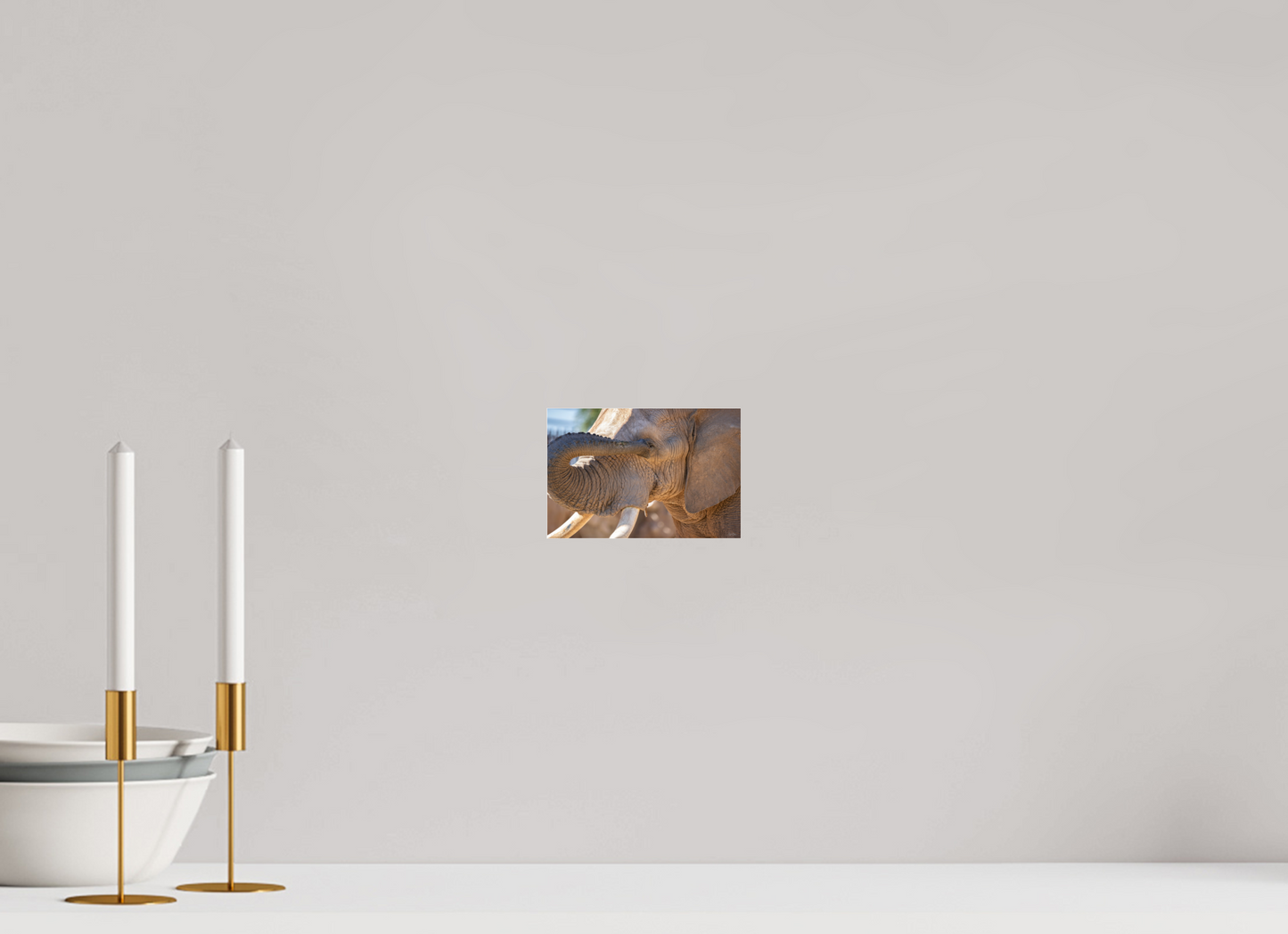 6 x 4″, Photo Print Under Acrylic Glass Bashful Ellie The Elephant