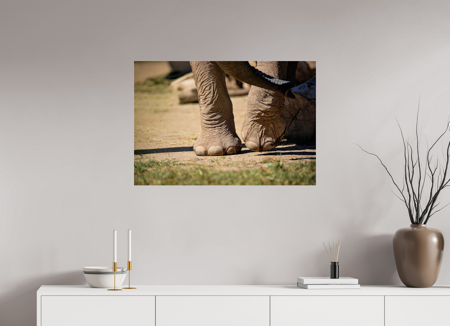 35.1 x 24″, Photo Print Under Acrylic Glass Ellie Struts