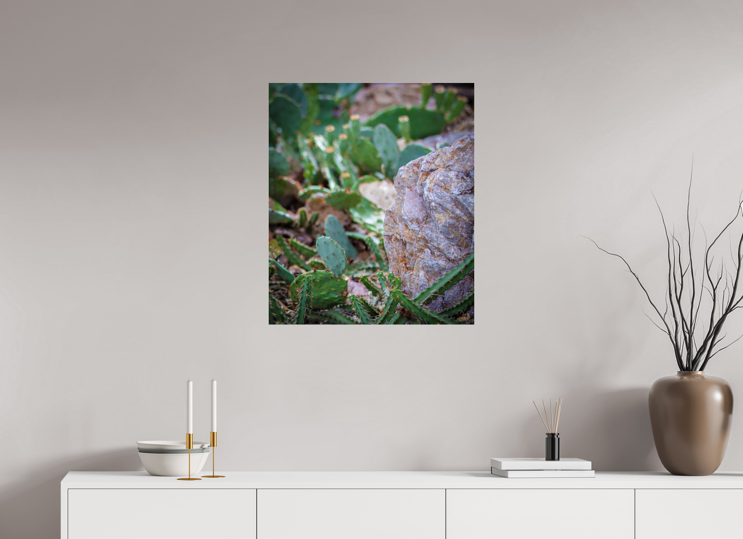 24 x 28.2″, Photo Print Under Acrylic Glass Cacti IV