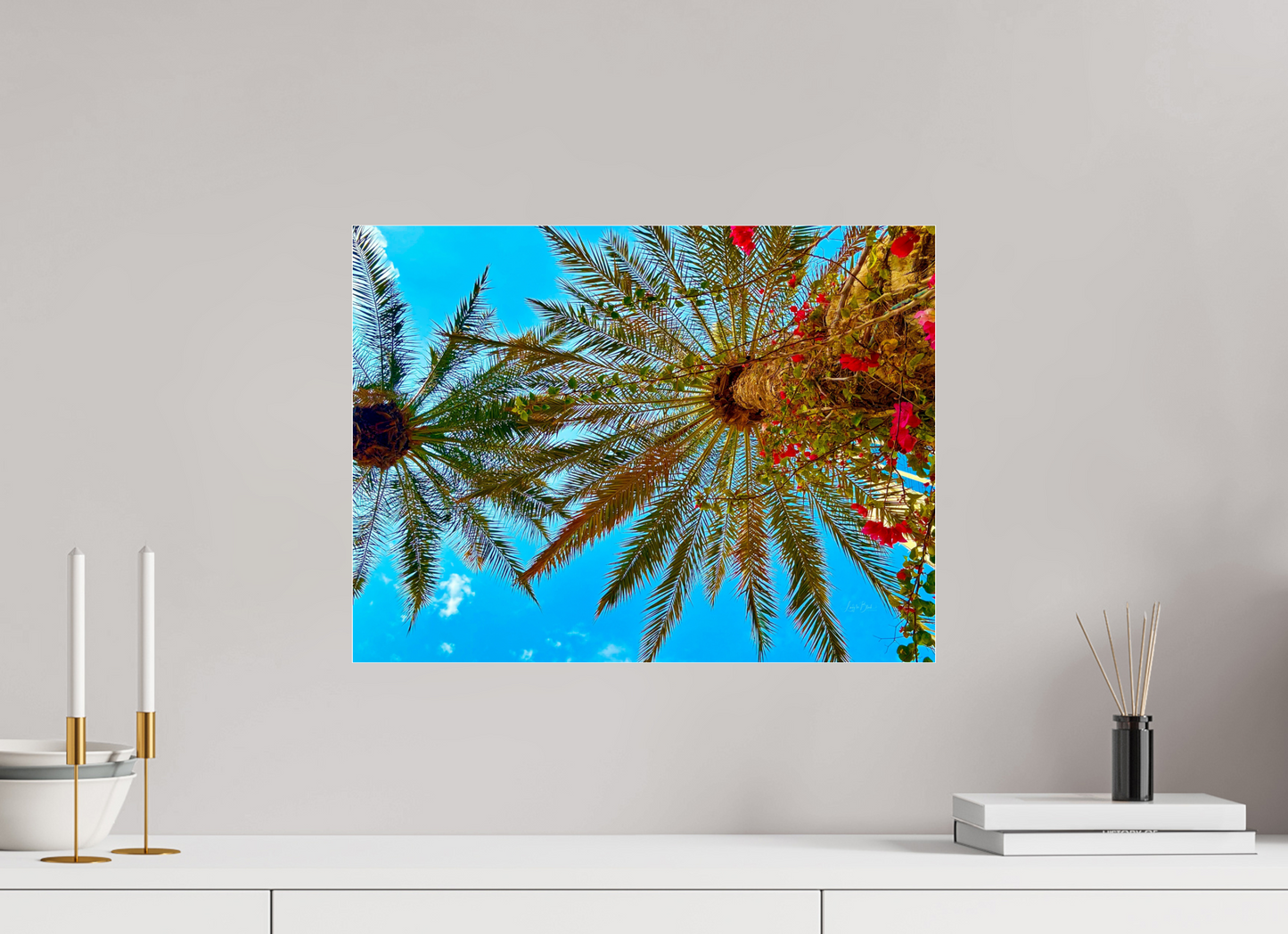 20 x 15″, Photo Print Under Acrylic Glass Gardens