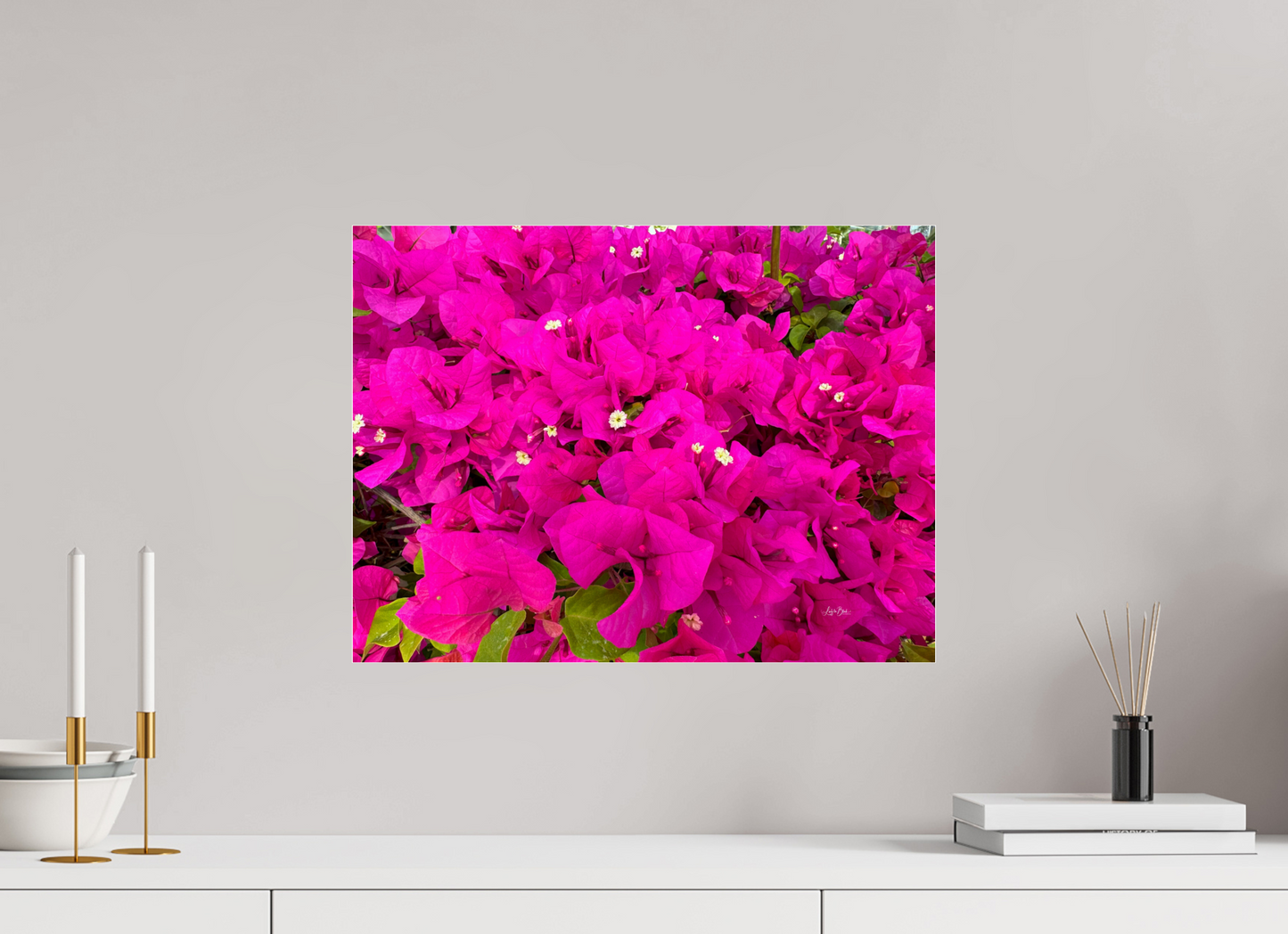 20 x 15″, Photo Print Under Acrylic Glass Gardens III