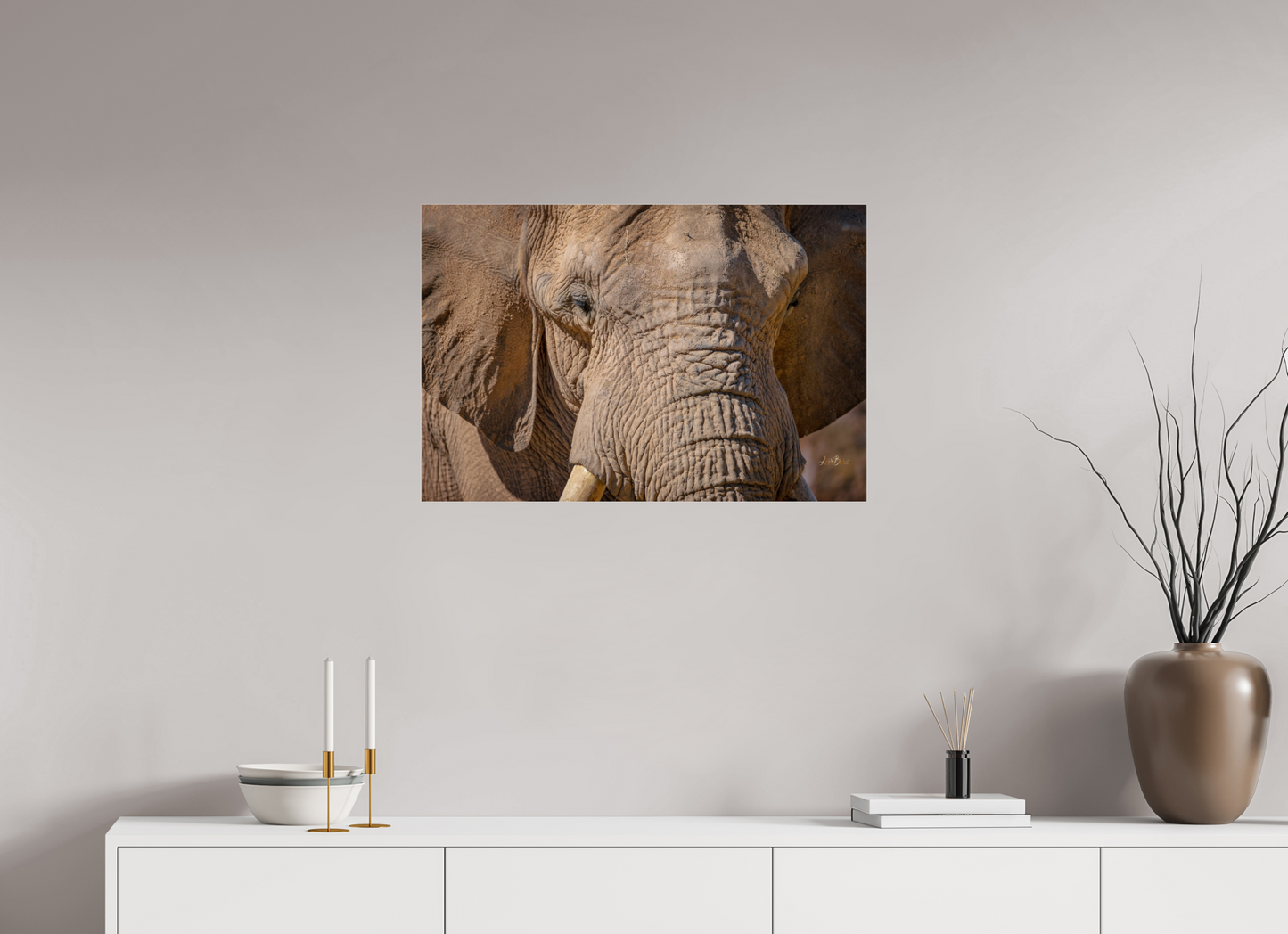 30 x 20″, Photo Print Under Acrylic Glass Ellie All Ears