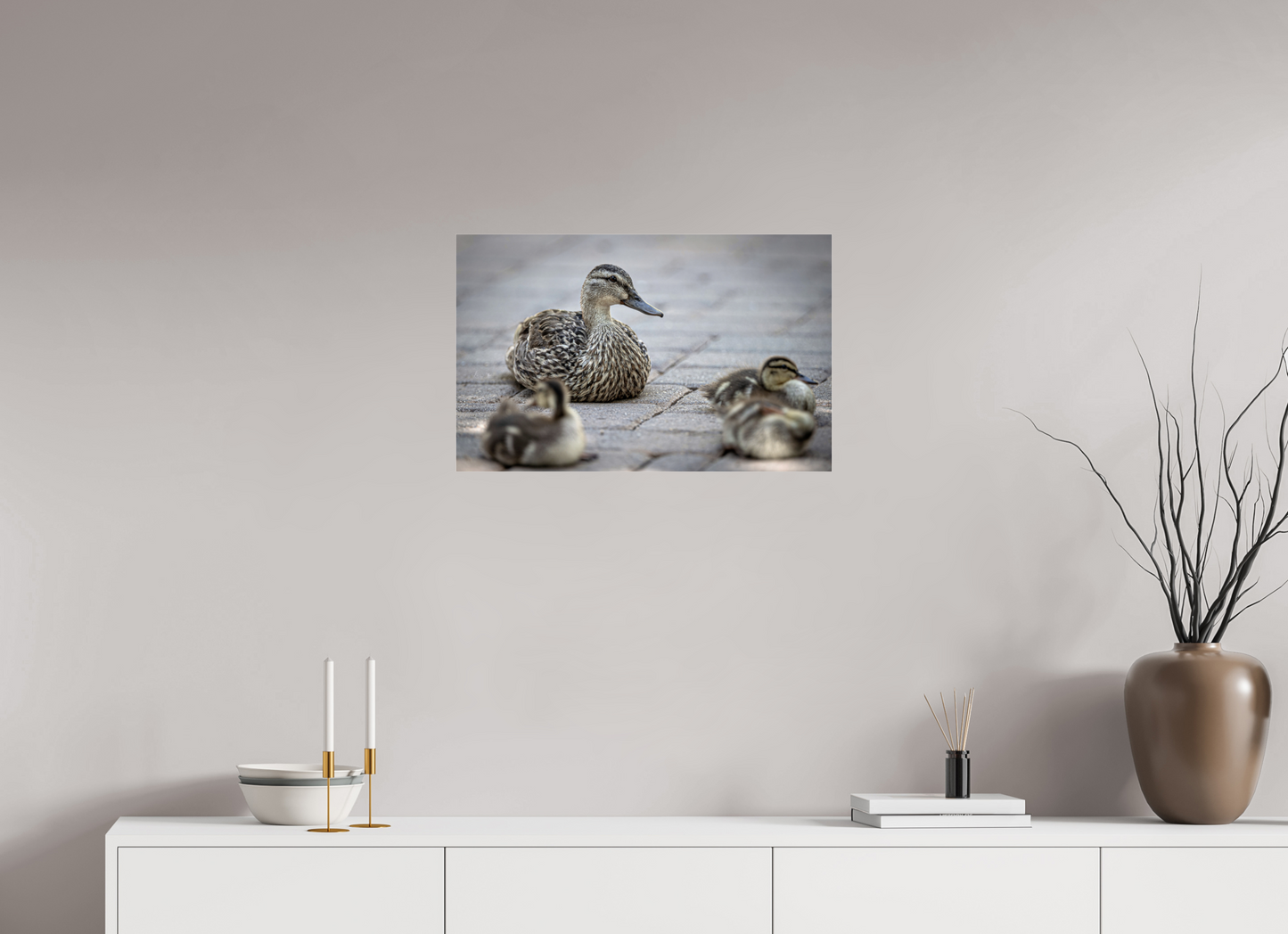 25.3 x 16″, Photo Print Under Acrylic Glass Mother and Ducklings