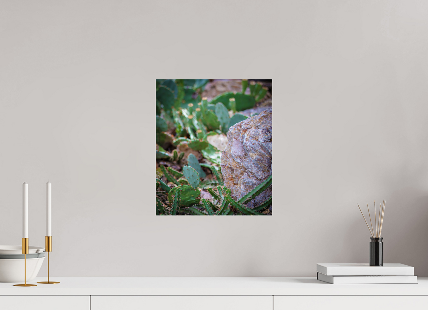 12 x 14.1″, Photo Print Under Acrylic Glass Cacti IV