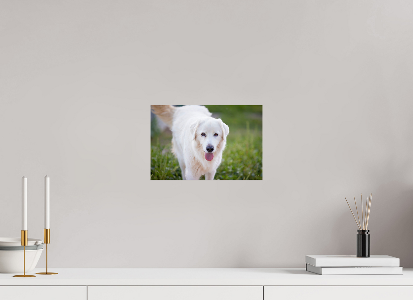 12 x 8″, Photo Print Under Acrylic Glass Sophie