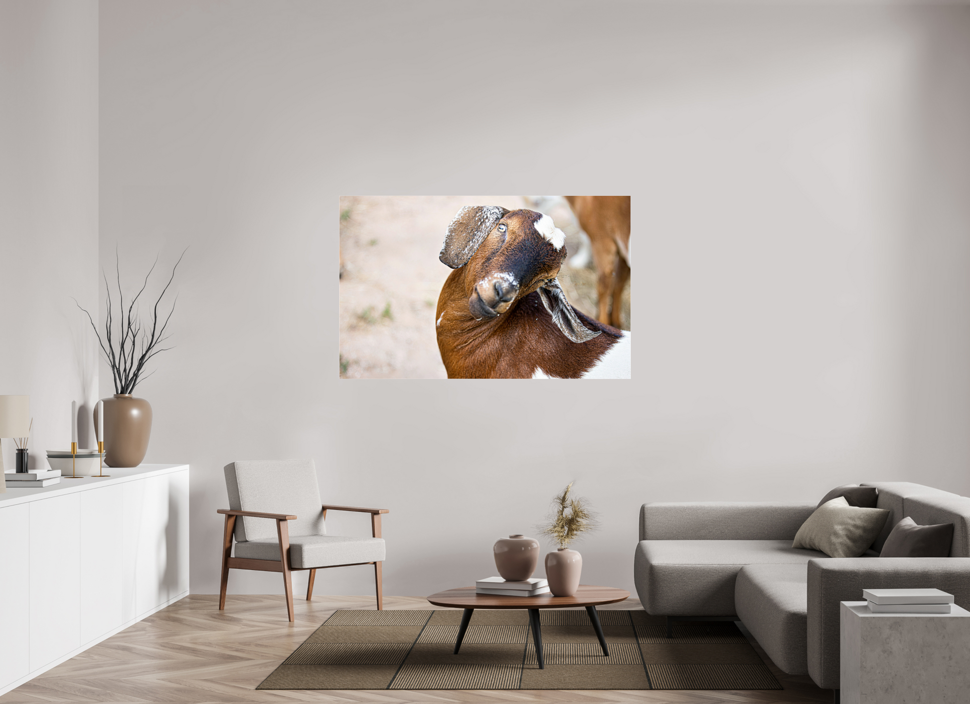 62.1 x 39″, Photo Print Under Acrylic Glass Goat Cheeeese