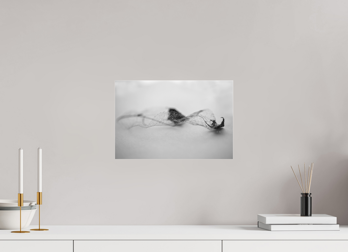 15 x 10″, Photo Print Under Acrylic Glass Leaf Left B/W