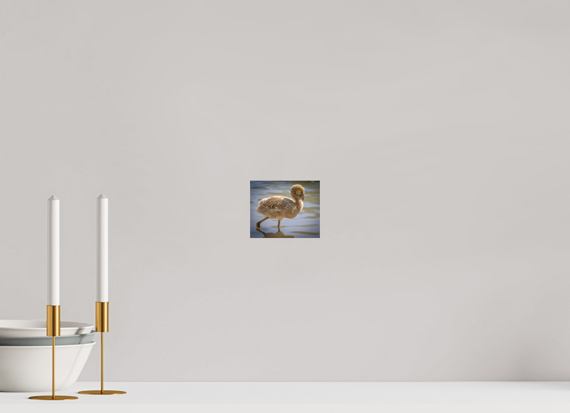 4.9 x 4″, Photo Print Under Acrylic Glass Baby Flamingo
