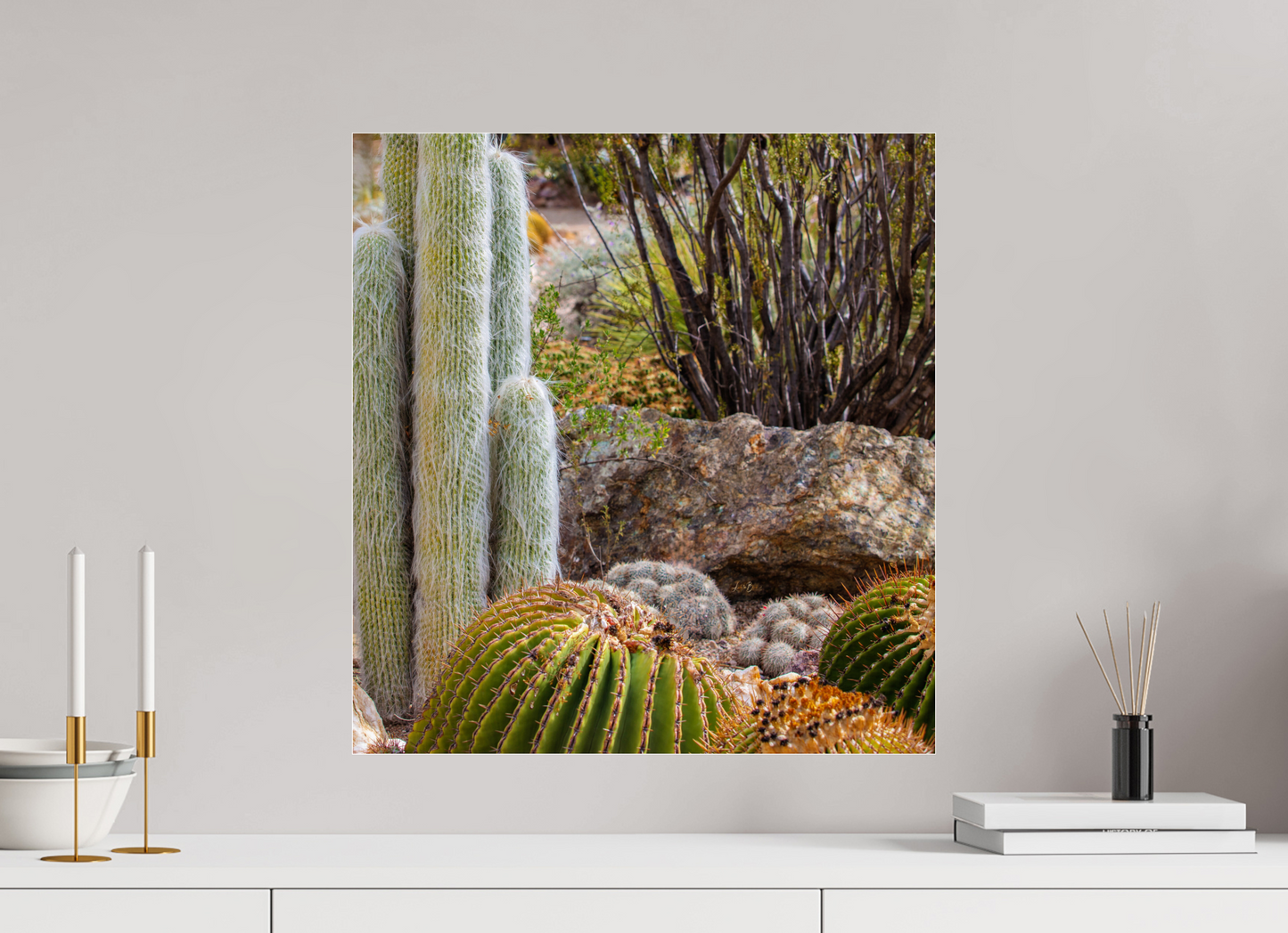 20 x 21.3″, Photo Print Under Acrylic Glass Cacti III Closeup