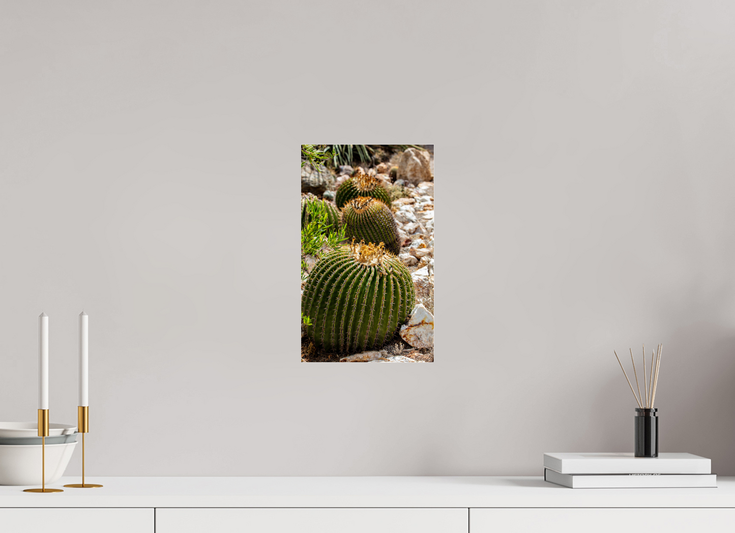 8 x 13.1″, Photo Print Under Acrylic Glass Cacti