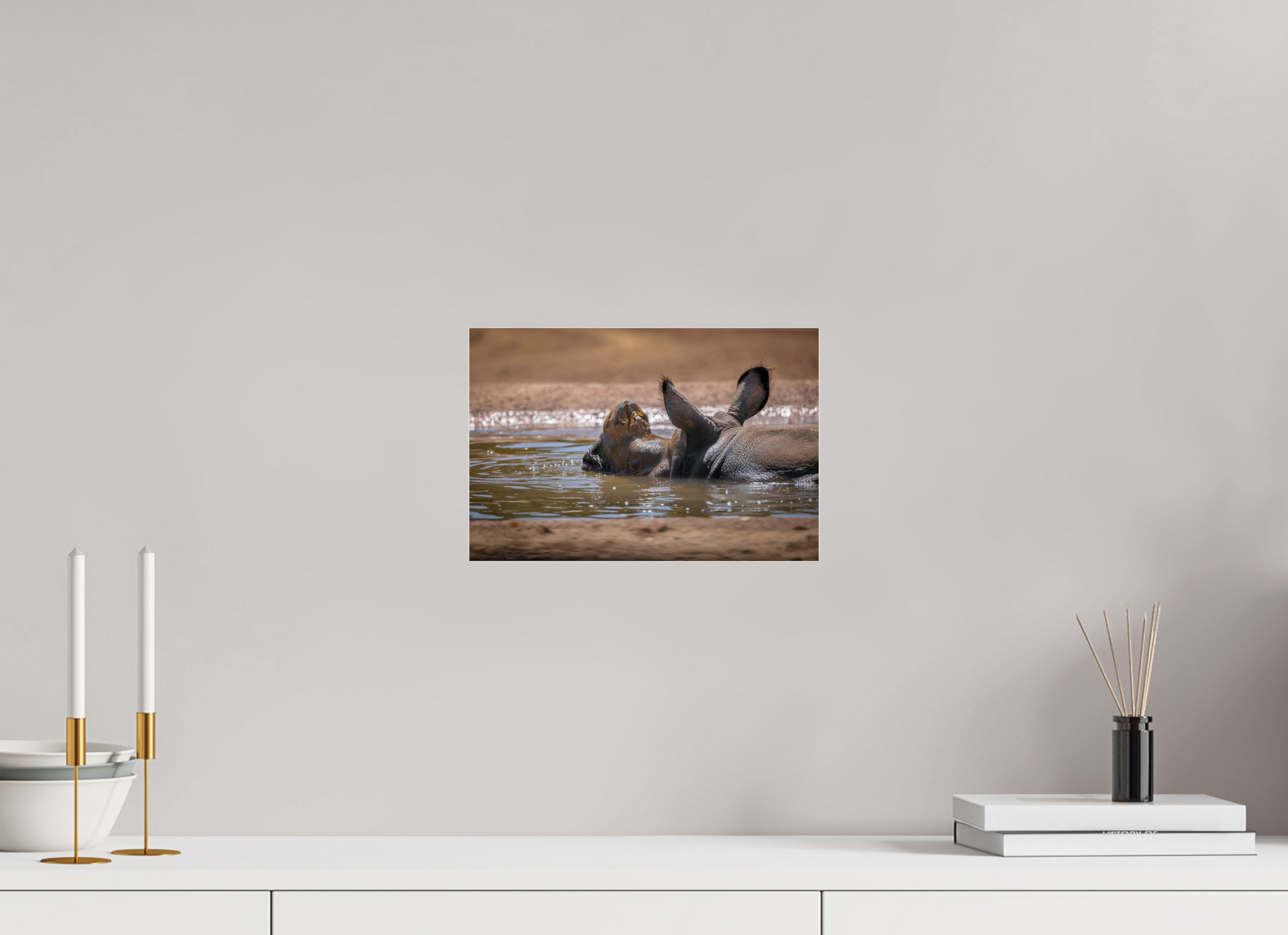 12 x 8″, Photo Print Under Acrylic Glass Rhino Relaxing