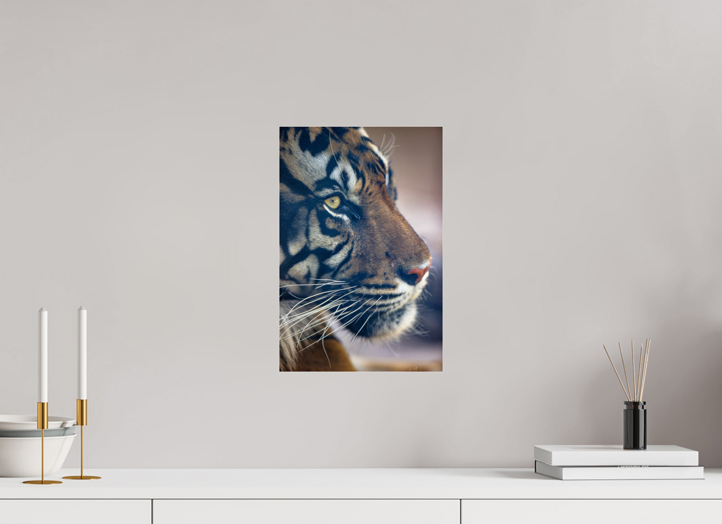 10 x 15″, Photo Print Under Acrylic Glass No Introduction Needed