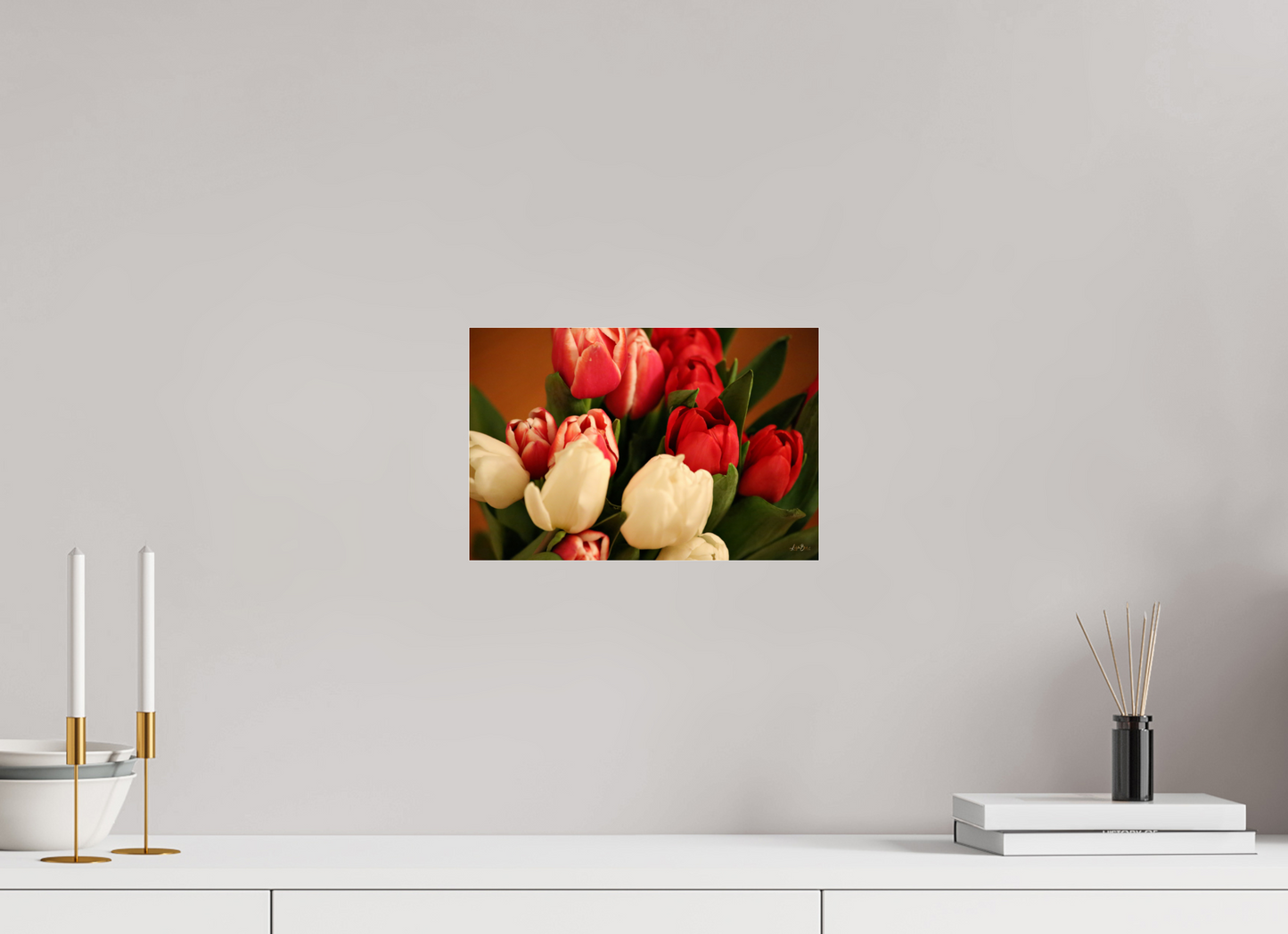 12 x 8″, Photo Print Under Acrylic Glass Tulips