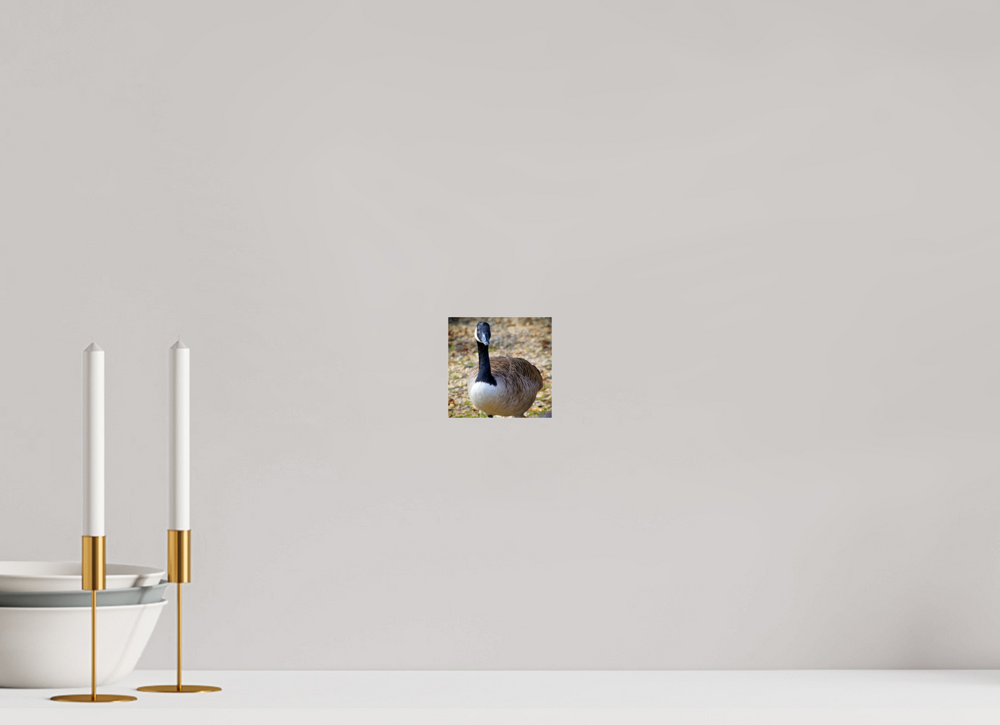 4.1 x 4″, Photo Print Under Acrylic Glass Lake Rim Goose