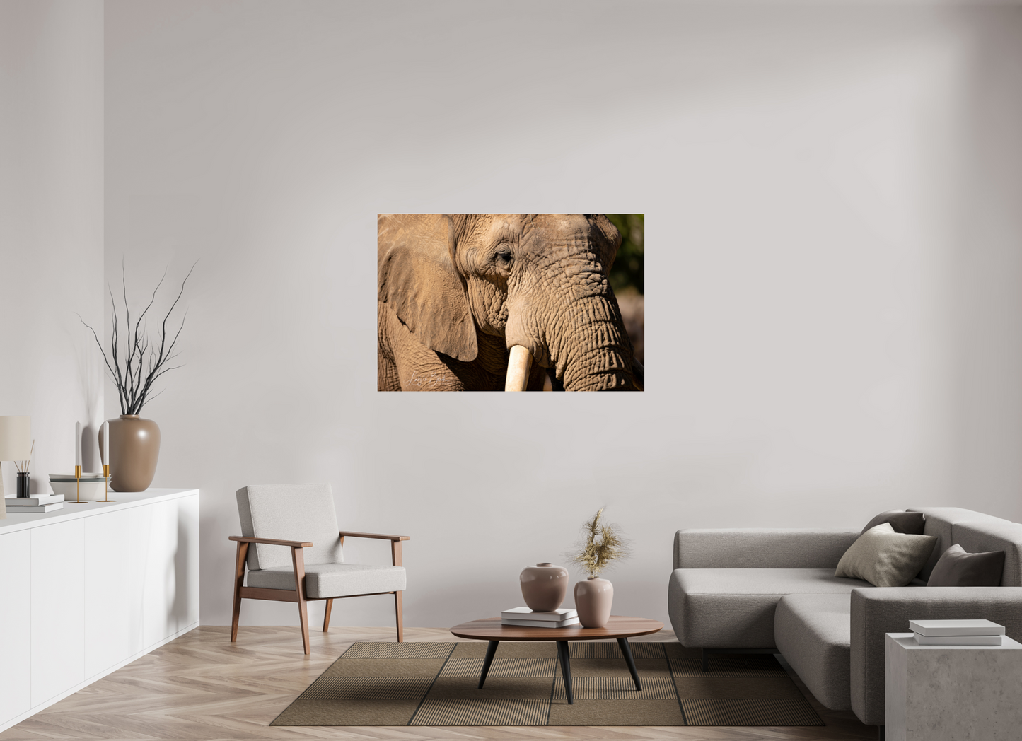 54 x 36″, Photo Print Under Acrylic Glass Ellie The Elephant