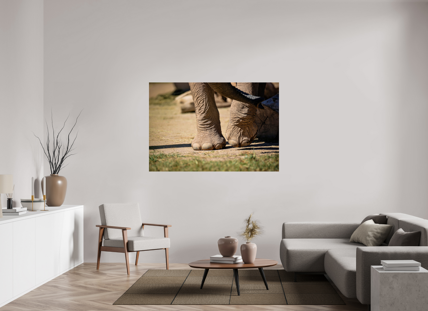 62.9 x 43″, Photo Print Under Acrylic Glass Ellie Struts