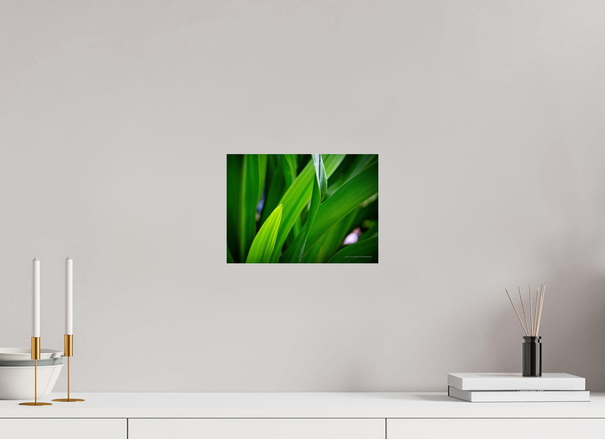 11.1 x 8″, Photo Print Under Acrylic Glass Blades of Peace