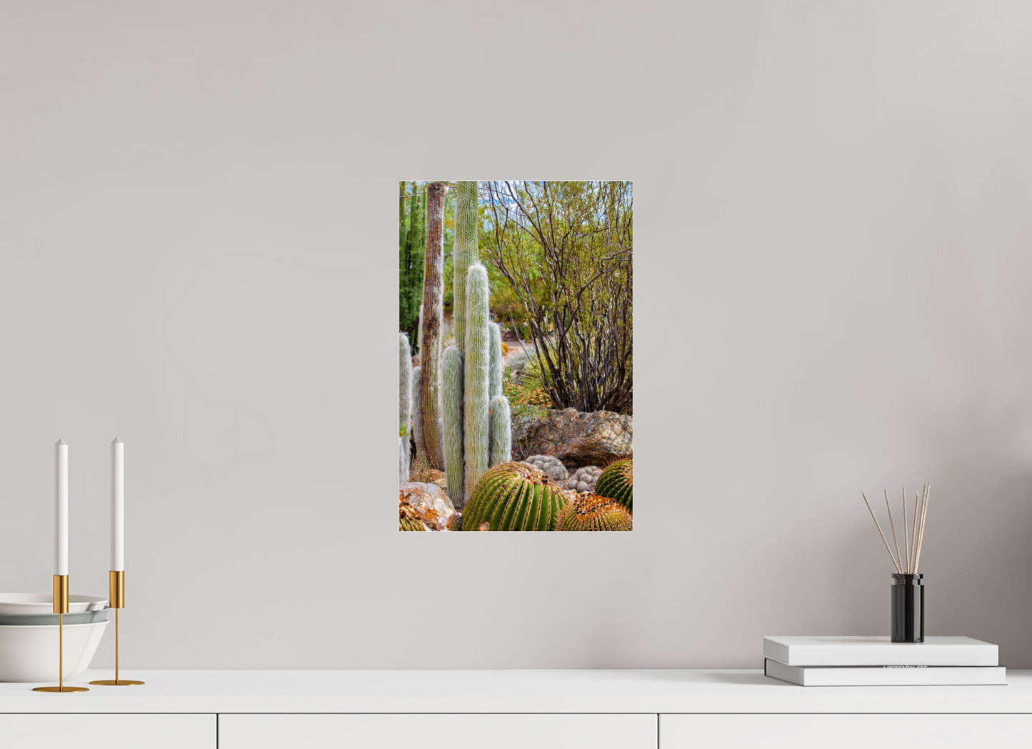 10 x 15″, Photo Print Under Acrylic Glass Cacti III