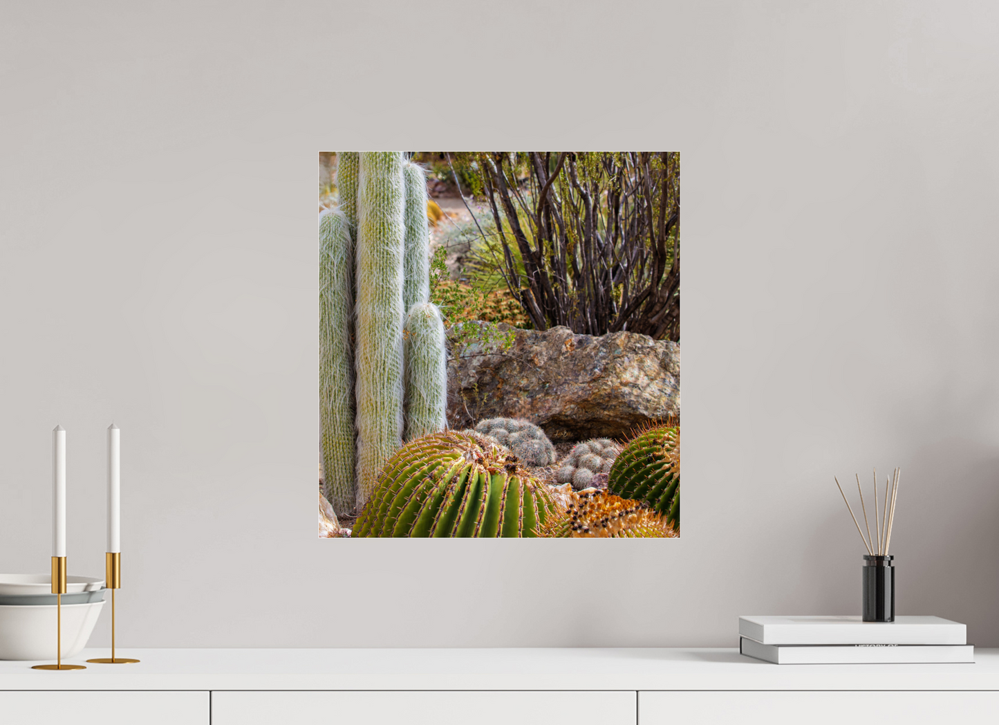 16 x 17.1″, Photo Print Under Acrylic Glass Cacti III Closeup
