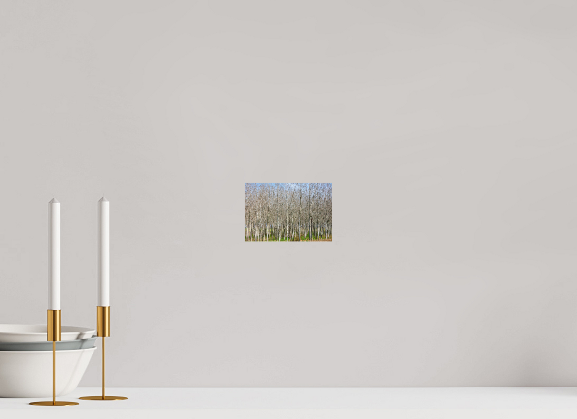 6 x 4″, Photo Print Under Acrylic Glass Treeline Italy