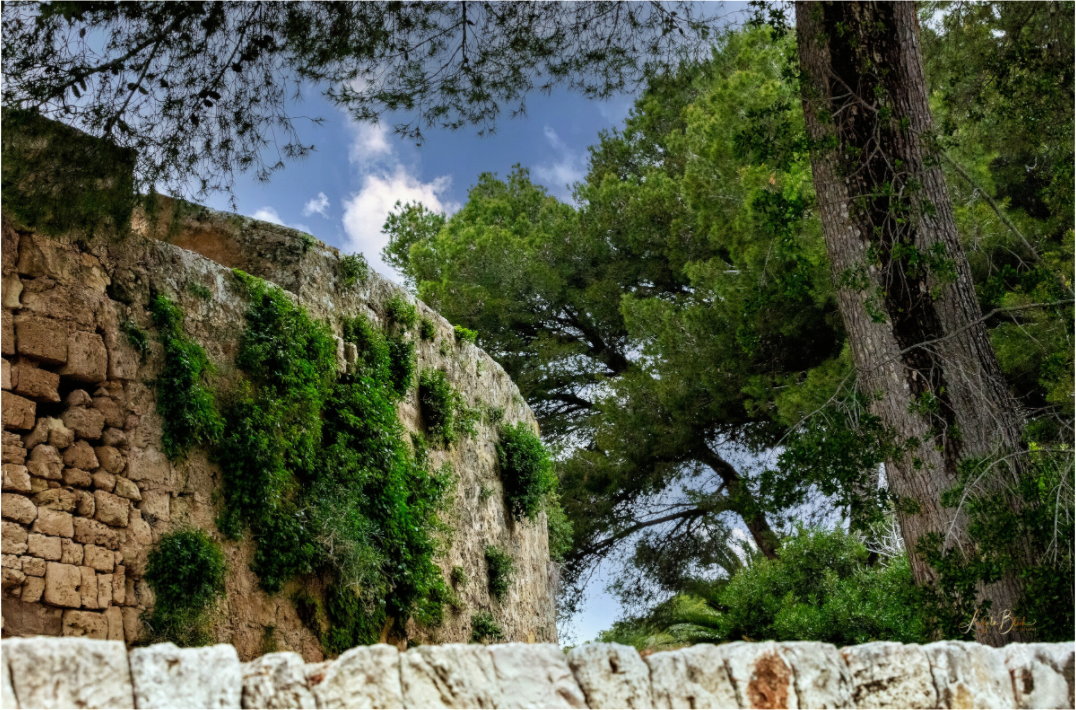 Main image Span Castle IV